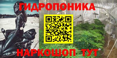 альфа пвп Обь