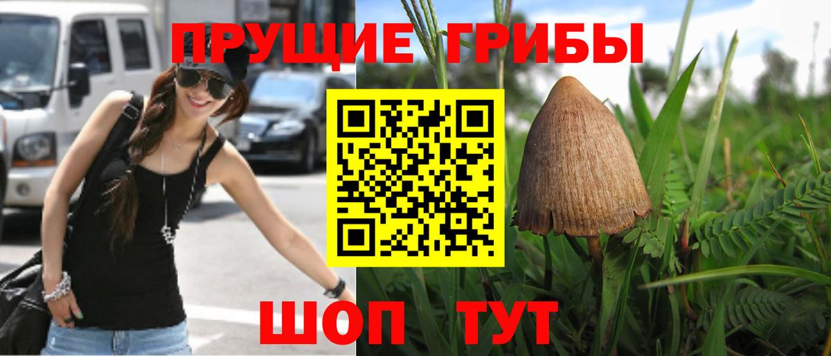 Тамбов  Псилоцибиновые грибы мицелий  Вход с VPN 