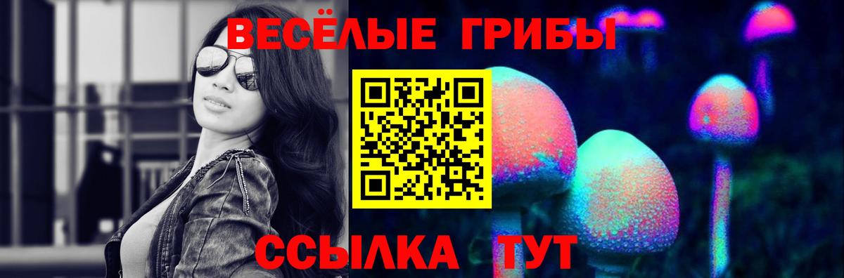 Псилоцибиновые грибы мухоморы Тамбов